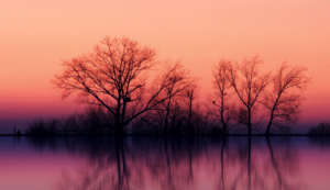 全球足球最新消息发布，球队备赛冲刺