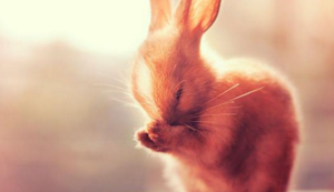 快船大胜猛龙，重返西部前四