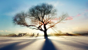 全球足球最新消息发布，球队备赛冲刺