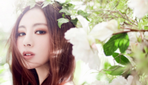 全球足球最新消息发布，球队备赛冲刺